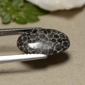 2.44カラットの天然グレーサンゴ（12.6×8.2 mm・オーバルカット）