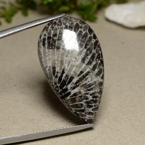 24.91カラットの天然グレーサンゴ（29.5×16.9 mm・洋梨の形）