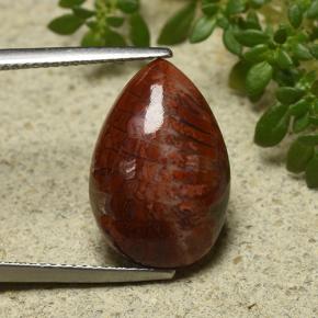 7.90カラットの天然マルチカラーサンゴ、洋梨の形、オペーク