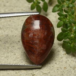 7.90カラットの天然マルチカラーサンゴ、洋梨の形、オペーク