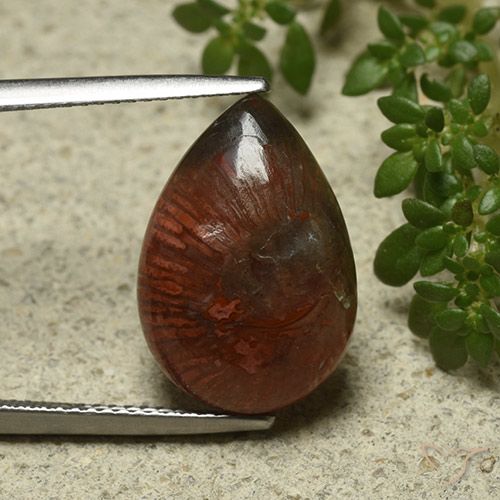 7.03ct 天然 マルチカラー サンゴ, 洋梨の形, オペーク