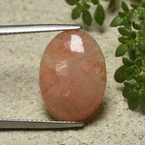 6.55カラットの天然マルチカラーサンゴ（17.3×12.8 mm・オーバルカット）