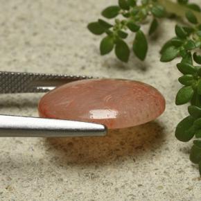 6.55カラットの天然マルチカラーサンゴ（17.3×12.8 mm・オーバルカット）
