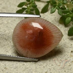 11.86カラットの天然マルチカラーサンゴ、洋梨の形、半透明