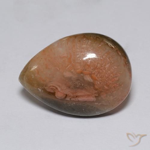 9.60ct 天然 マルチカラー サンゴ, 洋梨の形, 半透明