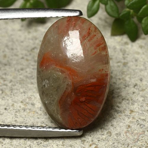 5.91カラットの天然マルチカラーサンゴ（16.1×10.6 mm・オーバルカット）