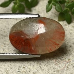5.91カラットの天然マルチカラーサンゴ（16.1×10.6 mm・オーバルカット）