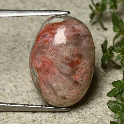 10.62カラットの天然マルチカラーサンゴ、オーバルカット、オペーク