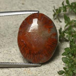 12.59カラットの天然マルチカラーサンゴ、オーバルカット、オペーク