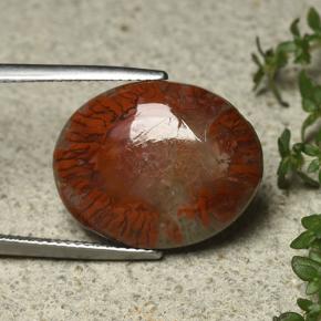 12.59カラットの天然マルチカラーサンゴ、オーバルカット、オペーク