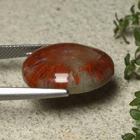 12.59カラットの天然マルチカラーサンゴ、オーバルカット、オペーク