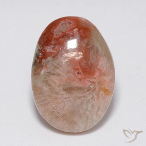 8.90ct 天然 マルチカラー サンゴ, 楕円形, オペーク