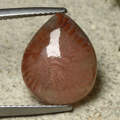 6.87ct 天然 マルチカラー サンゴ, 洋梨の形, 半透明