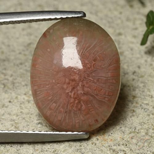 7.81ct 天然 マルチカラー サンゴ, 楕円形, 半透明