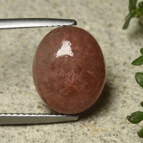 6.35カラットの天然マルチカラーサンゴ、オーバルカット、半透明