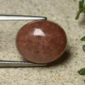 6.35カラットの天然マルチカラーサンゴ、オーバルカット、半透明