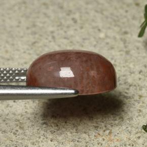 6.35カラットの天然マルチカラーサンゴ、オーバルカット、半透明