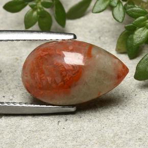 4.83カラットの天然マルチカラーサンゴ、洋梨の形、半透明