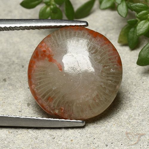 7.80ct 天然 マルチカラー サンゴ, ラウンド, オペーク