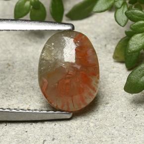 1.88カラットの天然マルチカラーサンゴ、オーバルカット、半透明