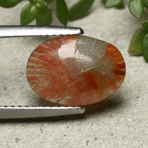 2.54カラットの天然マルチカラーサンゴ、オーバルカット、半透明