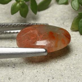 2.54カラットの天然マルチカラーサンゴ、オーバルカット、半透明