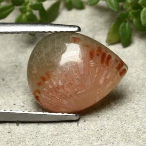 5.26カラットの天然マルチカラーサンゴ、洋梨の形、半透明