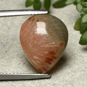 5.26カラットの天然マルチカラーサンゴ、洋梨の形、半透明