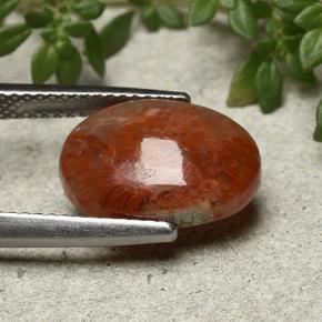 4.35カラットの天然マルチカラーサンゴ、オーバルカット、半透明