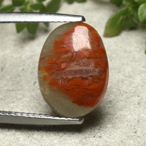 3.86カラットの天然マルチカラーサンゴ（13.6×10.1 mm・オーバルカット）