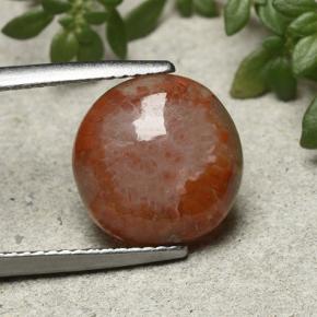 4.21カラットの天然マルチカラーサンゴ（11.77 mm・ラウンドカット）