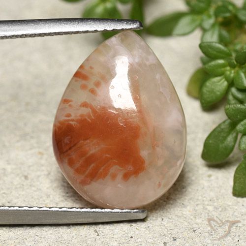6.43ct 天然 マルチカラー サンゴ, 洋梨の形, 半透明