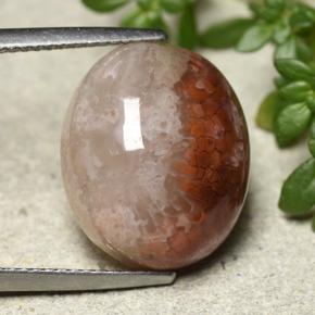 12.54カラットの天然マルチカラーサンゴ、オーバルカット、半透明