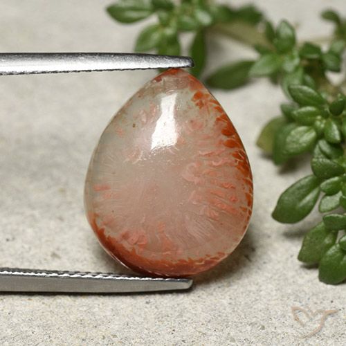 7.31ct 天然 マルチカラー サンゴ, 洋梨の形, 半透明