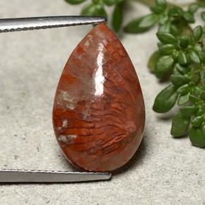 8.19カラットの天然マルチカラーサンゴ（19.9×12.5 mm・洋梨の形）