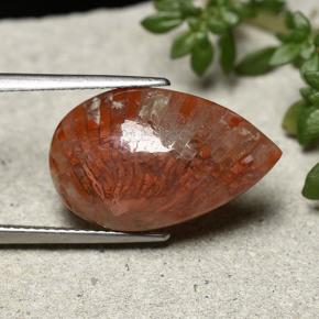 8.19カラットの天然マルチカラーサンゴ（19.9×12.5 mm・洋梨の形）