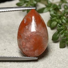 7.73カラットの天然マルチカラーサンゴ（18.9×12.4 mm・洋梨の形）
