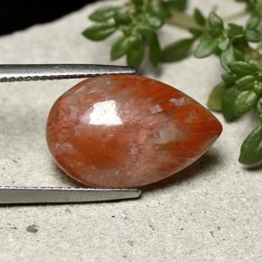 7.73カラットの天然マルチカラーサンゴ（18.9×12.4 mm・洋梨の形）