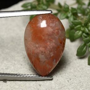 7.73カラットの天然マルチカラーサンゴ（18.9×12.4 mm・洋梨の形）