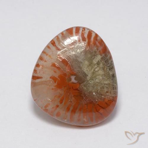 7.59ct 天然 マルチカラー サンゴ, ファンシー, 半透明