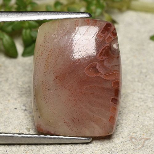 5.47カラットの天然マルチカラーサンゴ、クッションカット、半透明