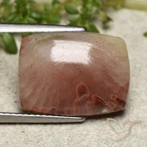 5.47カラットの天然マルチカラーサンゴ、クッションカット、半透明