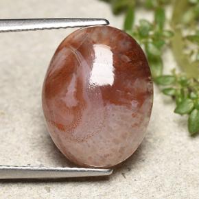 6.86カラットの天然マルチカラーサンゴ、オーバルカット、半透明