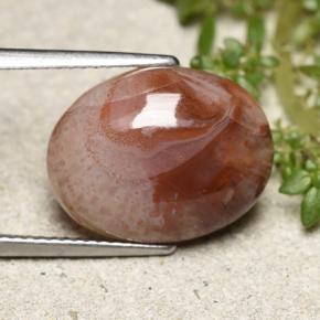 6.86カラットの天然マルチカラーサンゴ、オーバルカット、半透明