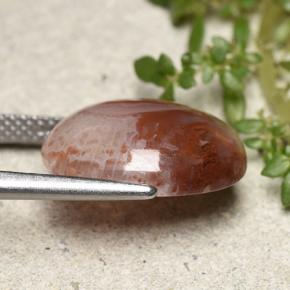 6.86カラットの天然マルチカラーサンゴ、オーバルカット、半透明