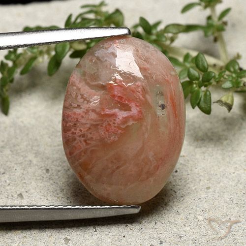 7.30ct 天然 マルチカラー サンゴ, 楕円形, 半透明, Photo A