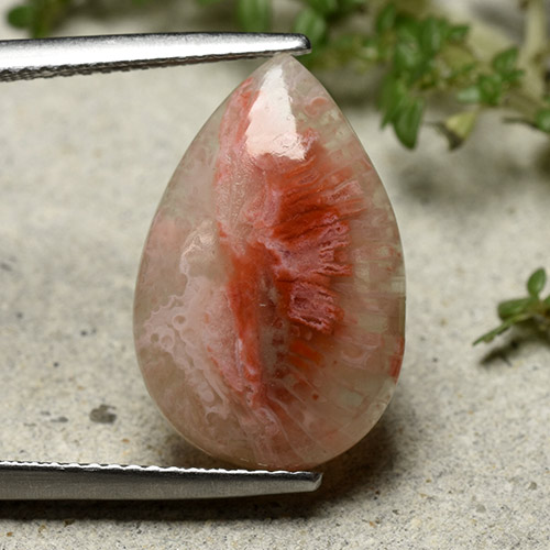 5.62カラットの天然マルチカラーサンゴ、洋梨の形、半透明
