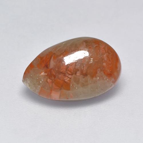 3.39カラットの天然マルチカラーサンゴ（13×8.2 mm・洋梨の形）