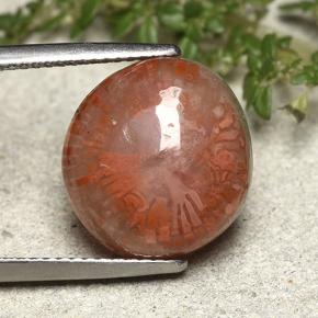 7.61カラットの天然マルチカラーサンゴ（14.3×13.2 mm・ファンシーシェイプ）