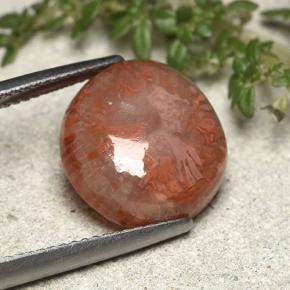 7.61カラットの天然マルチカラーサンゴ（14.3×13.2 mm・ファンシーシェイプ）
